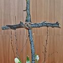 Zondag 20 april: Pasen